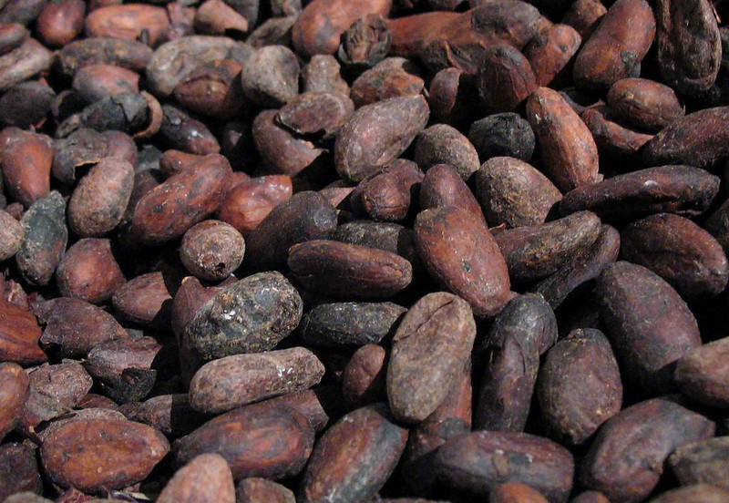 Cacao-roasted