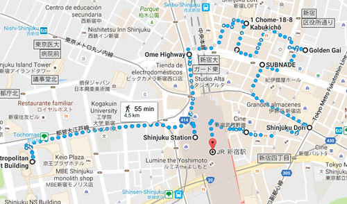 Día 11: Tsukiji, Ginza, Palacio, Estación de Tokyo, shinjuku y Godzilla - Luna de Miel por libre en Japon Octubre 2015 (37)