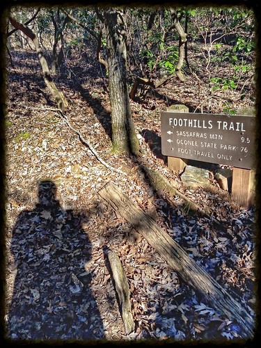 Foot hills trail hiking