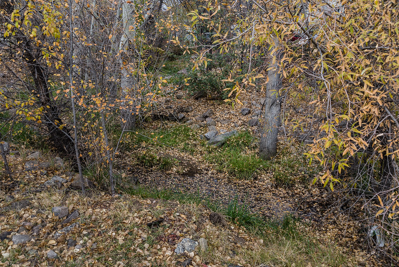 North Fork of Granite Creek in Fall