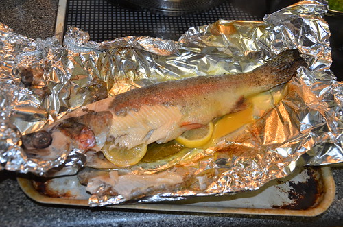 baked trout Nov 16 (1)