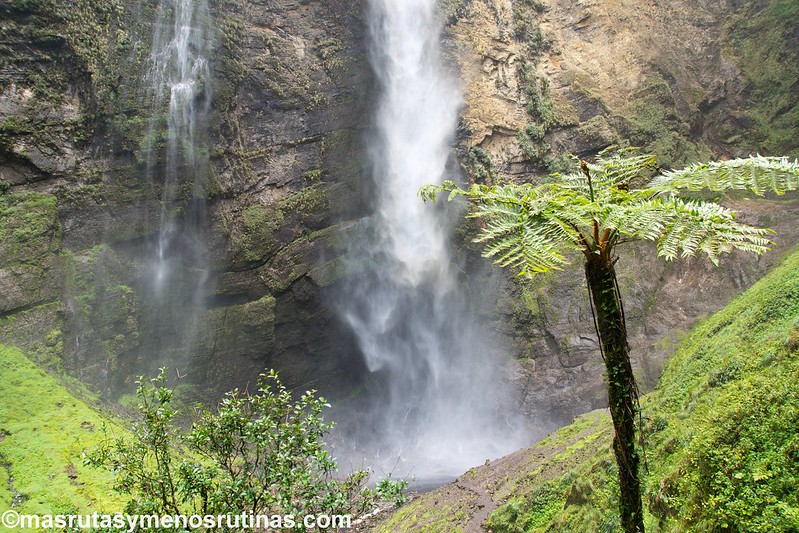 Catarata Gocta. Colosales cascadas entre nubes que abrazan montañas - Por el norte de PERÚ. De los glaciares a la selva (15)