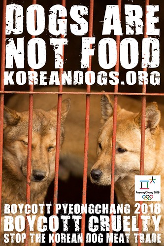 Boycott_Pyeongchang_1440x2160_v