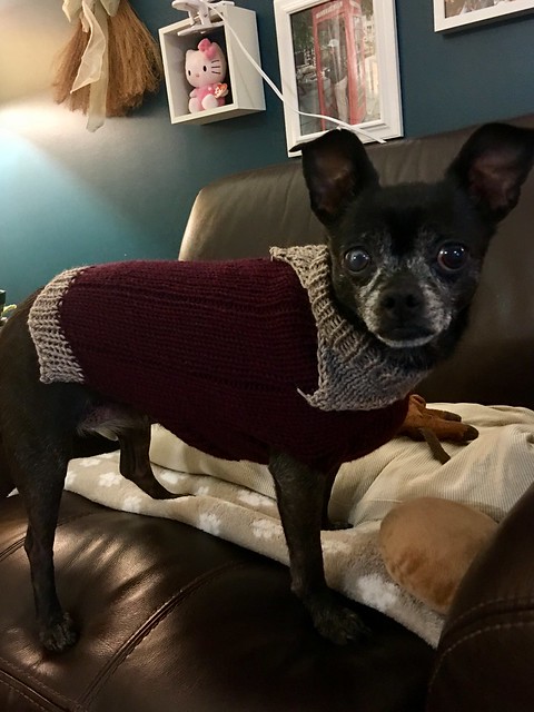 Cher's Max sweater