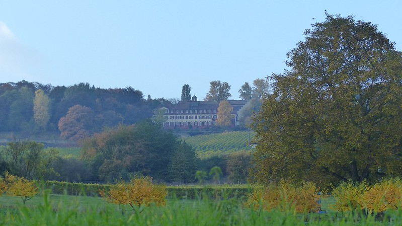 Blick auf Schloss Westerhaus