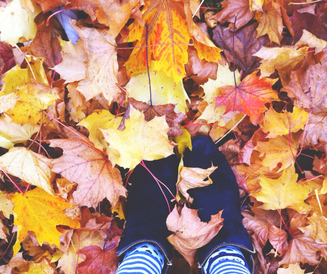things i like about autumn list vivatramp uk lifestyle blogs