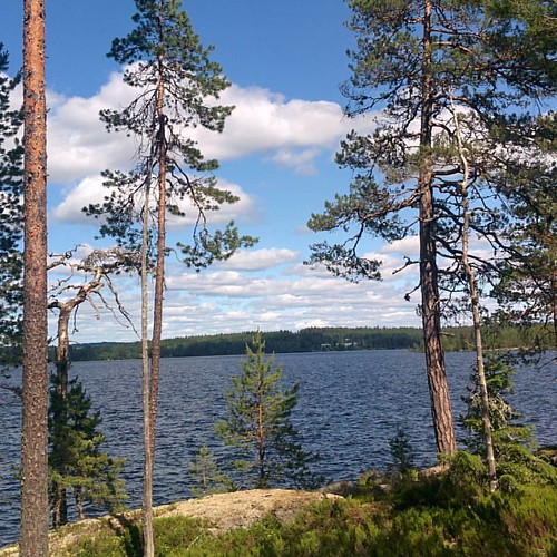 Fresh summer days in Finland.
