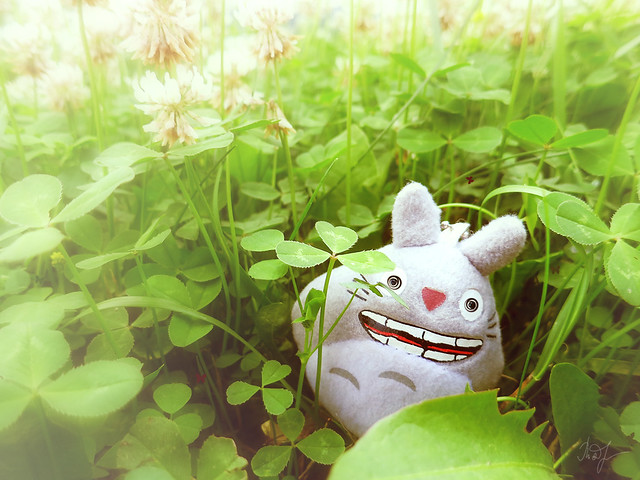 Day #173: totoro suffers from the heat