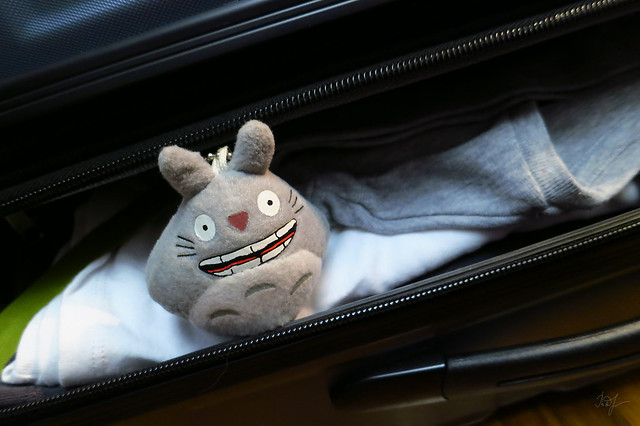 Day #149: totoro is going on vacation