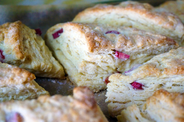 Closeup on different scones in the pan, showing the contrast between the pale yellow layers, the bright red rhubarb, and the brown, crunchy sugared crust.