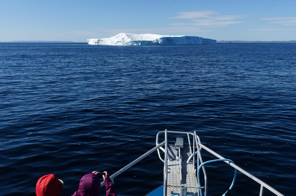 Icebergs In St. Anthony, Newfoundland
