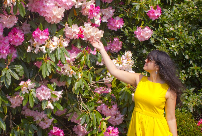 girl in yellow, yellow dress, girl holding yellow leaf, yellow leaf, rhodedendron, glasgow botanical garden, yellow fifites dress, pink flowers, pink and white flowers, floral, garden, flowers, flower, glasgow