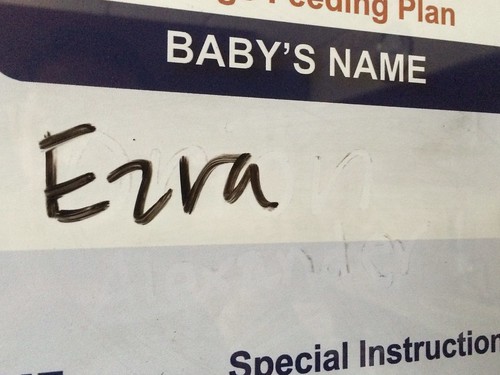 Baby's Name: Ezra