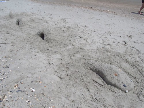 Sand sea serpent #2, Holden Beach, North Carolina