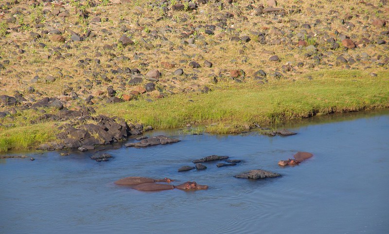 Kruger: Olifants, Letaba y salida por Phalaborwa - Por el norte de SUDÁFRICA. Montañas, playas, fauna y sus gentes (6)