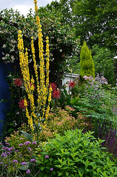 ANLD Garden Tour (Assn. of Northwest Landscape Designers) (Portland, OR)