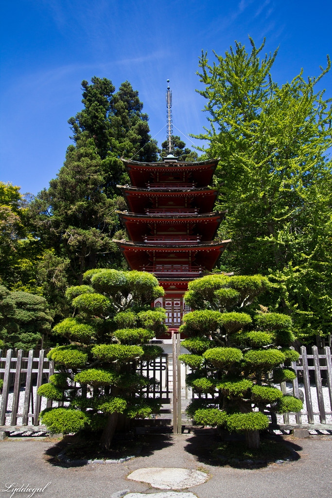 Japanese Tea Garden-4.jpg