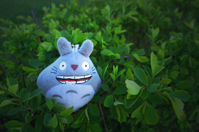 Day #125: totoro rejoices in green leaves