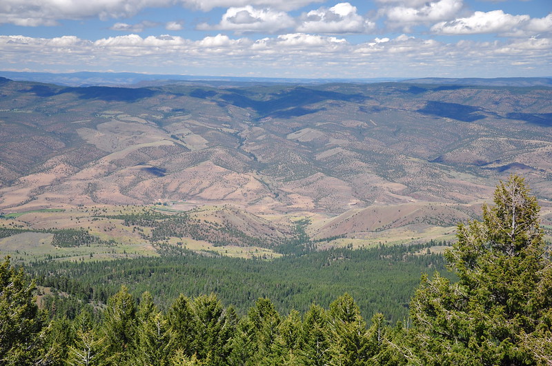 Aldrich Butte view