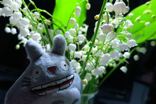 Day #145: totoro enjoys the fragrance of May lily