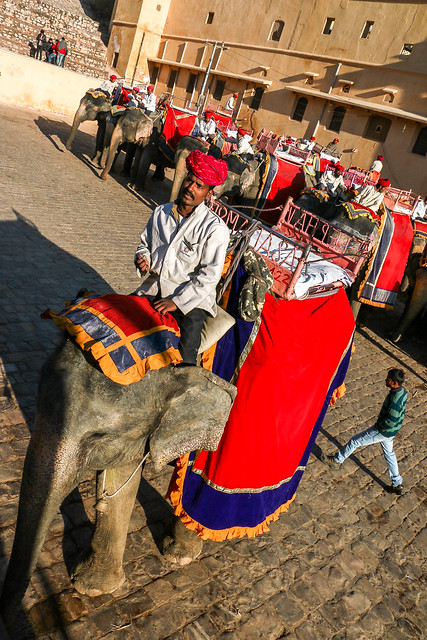 Drivers of elephant taxi in Amber Fort, Jaipur, India　ジャイプール、アンベール城の「象のタクシー」