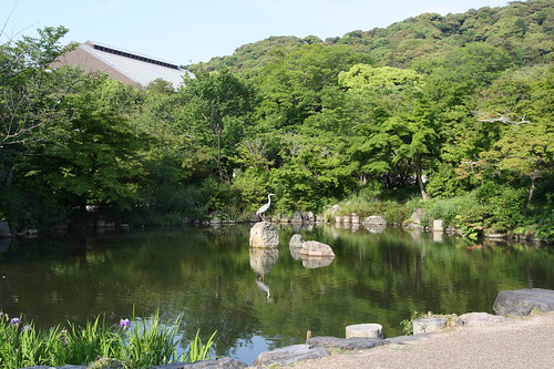 Maruyama Park, Kyoto 2016