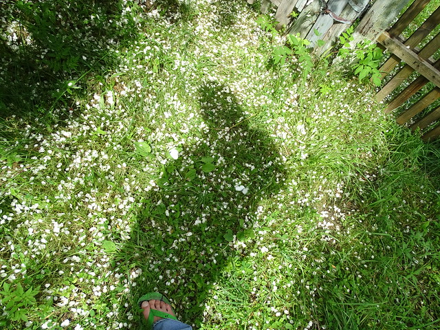 DSC03308