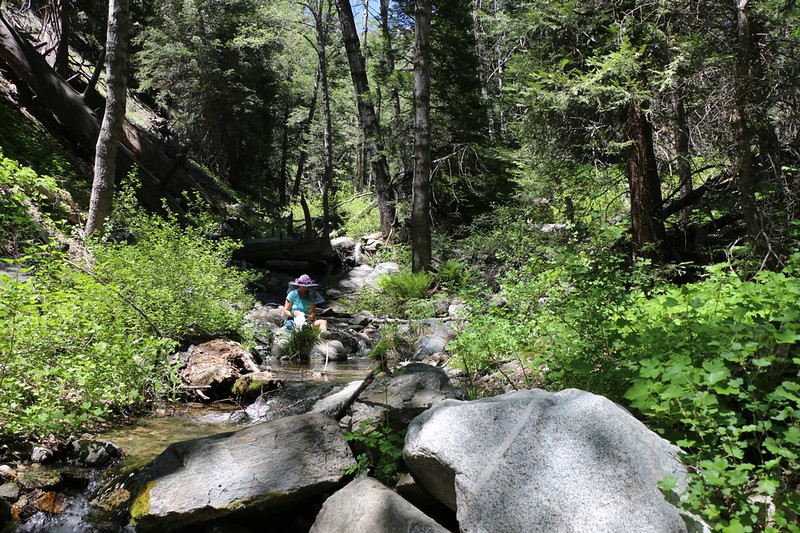 After a nap, Vicki and I headed upstream to Alger Creek and filtered water