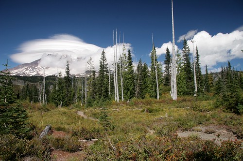 Bench Lake - Mt Rainier