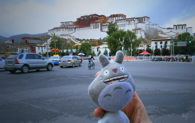 Day #153: totoro visited the Potala