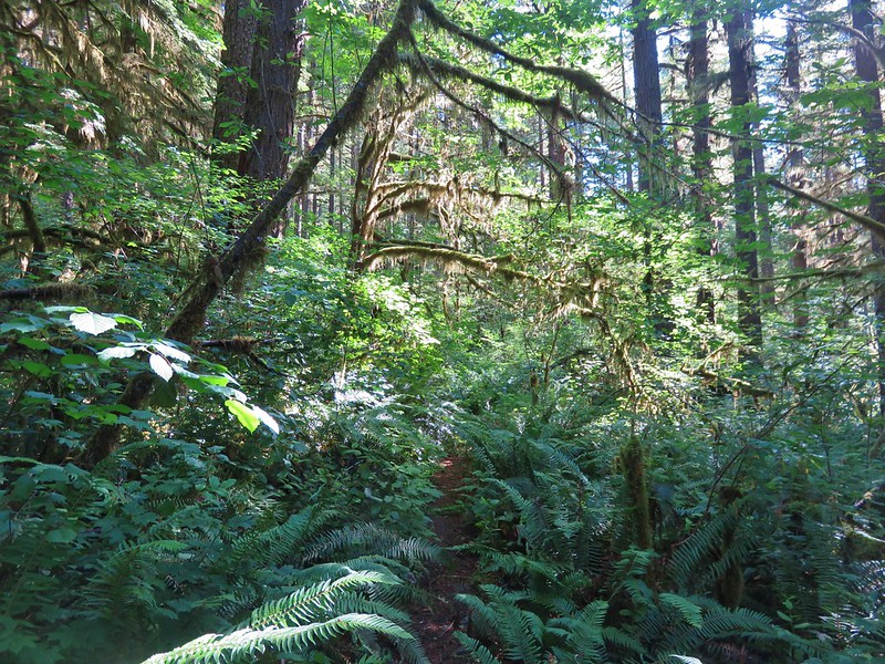 Trout Creek Trail