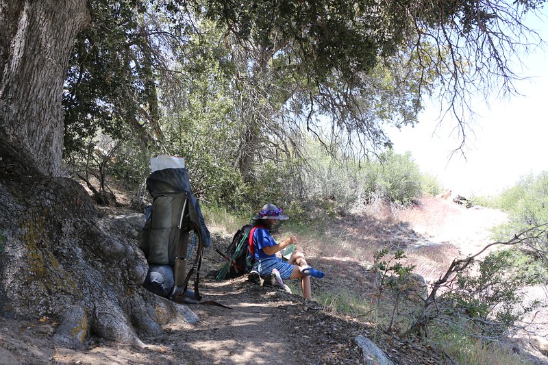 We took a rest under an oak tree after an uphill section near PCT mile 295. Vicki is wearing anti-bug netting over her face.