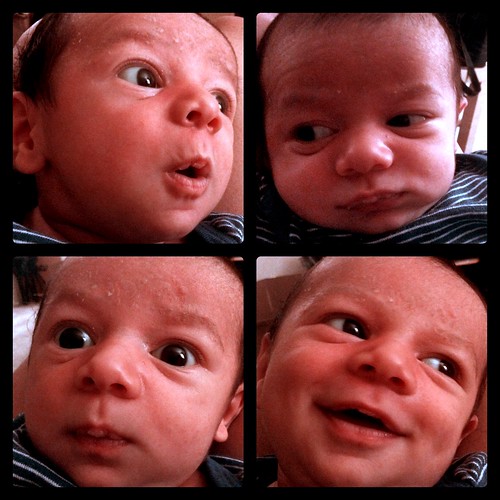 Ezra's many faces, 3 weeks old