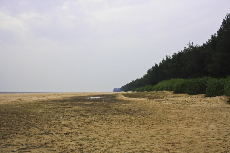 Chandipur Sea Beach, Balasore, Odisha India