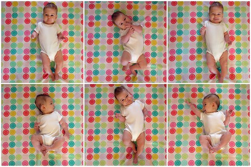 Four Months Collage