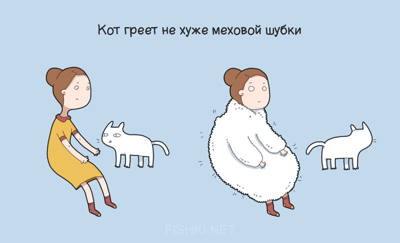 9 причин, почему стоит завести кота | Незалежний портал Павлоград.dp.ua
