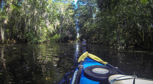 Lowcountry Unfiltered at Okefenokee-137