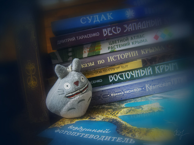 Day #275: totoro loves themed books