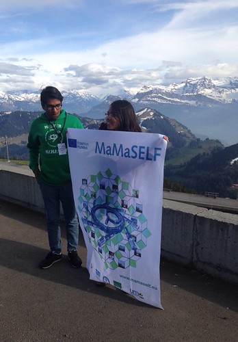 Status meeting Mamaself Rigi 2016
