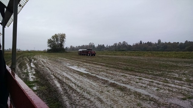 Pumpkin Patch: Tractor Wagon Ride to Pumpkins
