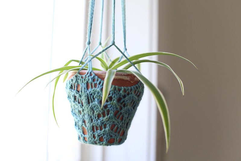 her special spider plant (from PWS) in it's new knit hanger