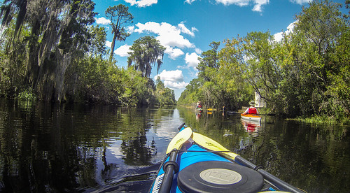 Lowcountry Unfiltered at Okefenokee-80