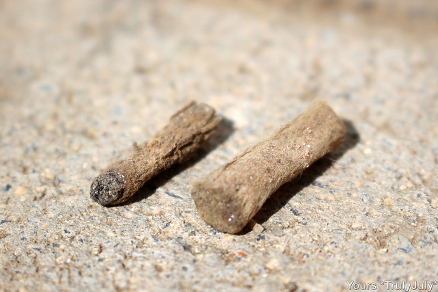 These are old old cigarette butts we 'excavated' from our garden. They've been lingering beneath metres of soil and building rubble for years and are not even close to decomposing.