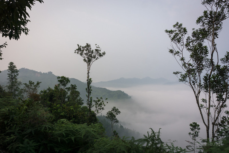 Panorama Hill, Sungai Lembing - hill view
