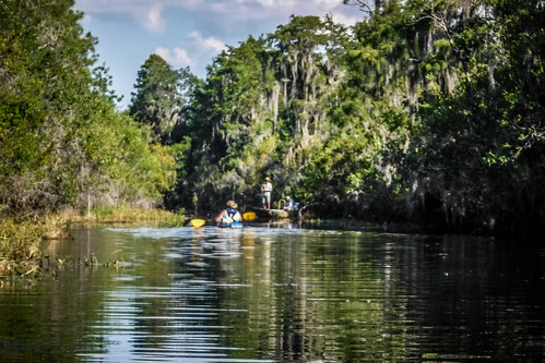 Lowcountry Unfiltered at Okefenokee-174