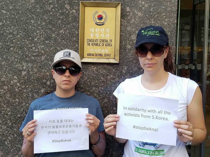 New York, South Korean Consulate General, International Day of Action for South Korean Dogs and Cats (Day 2) – July 27, 2016 Organized by The Animals' Battalion