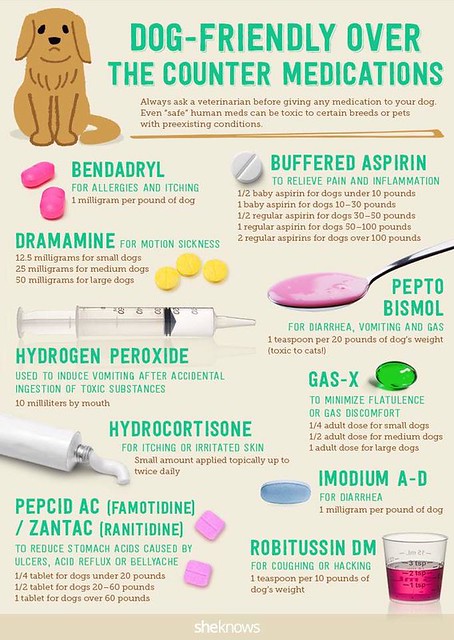 Robitussin Dosage Chart For Dogs