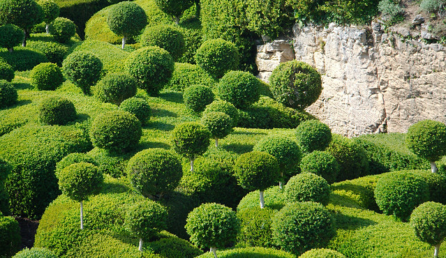 Gardens of Marqueyssac