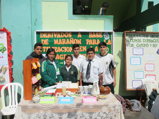 FERIA ESCOLAR NACIONAL DE CIENCIA Y TECNOLOGÍA -ETAPA PROVINCIAL- UGEL VIRÚ