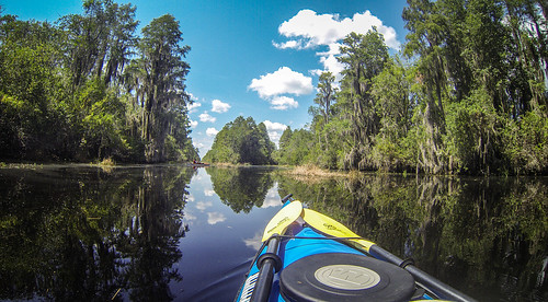 Lowcountry Unfiltered at Okefenokee-74